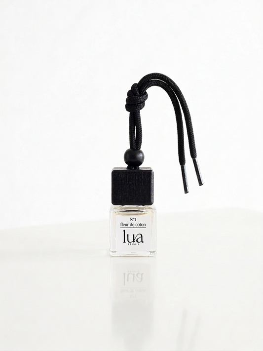 Diffuseur de Parfum pour Voiture